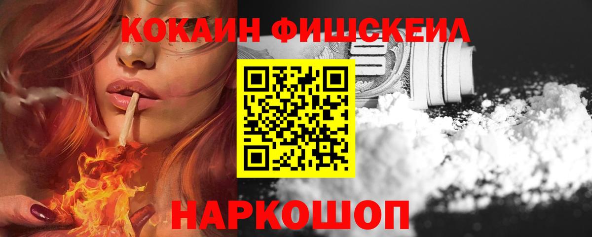 где найти наркотики  COCAIN FishScale  Вход с VPN  Бийск 