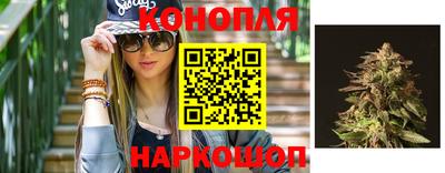 молекула духа Шахты